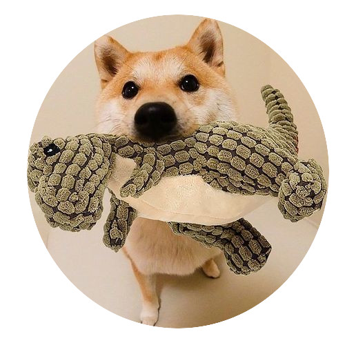 Peluche per cani